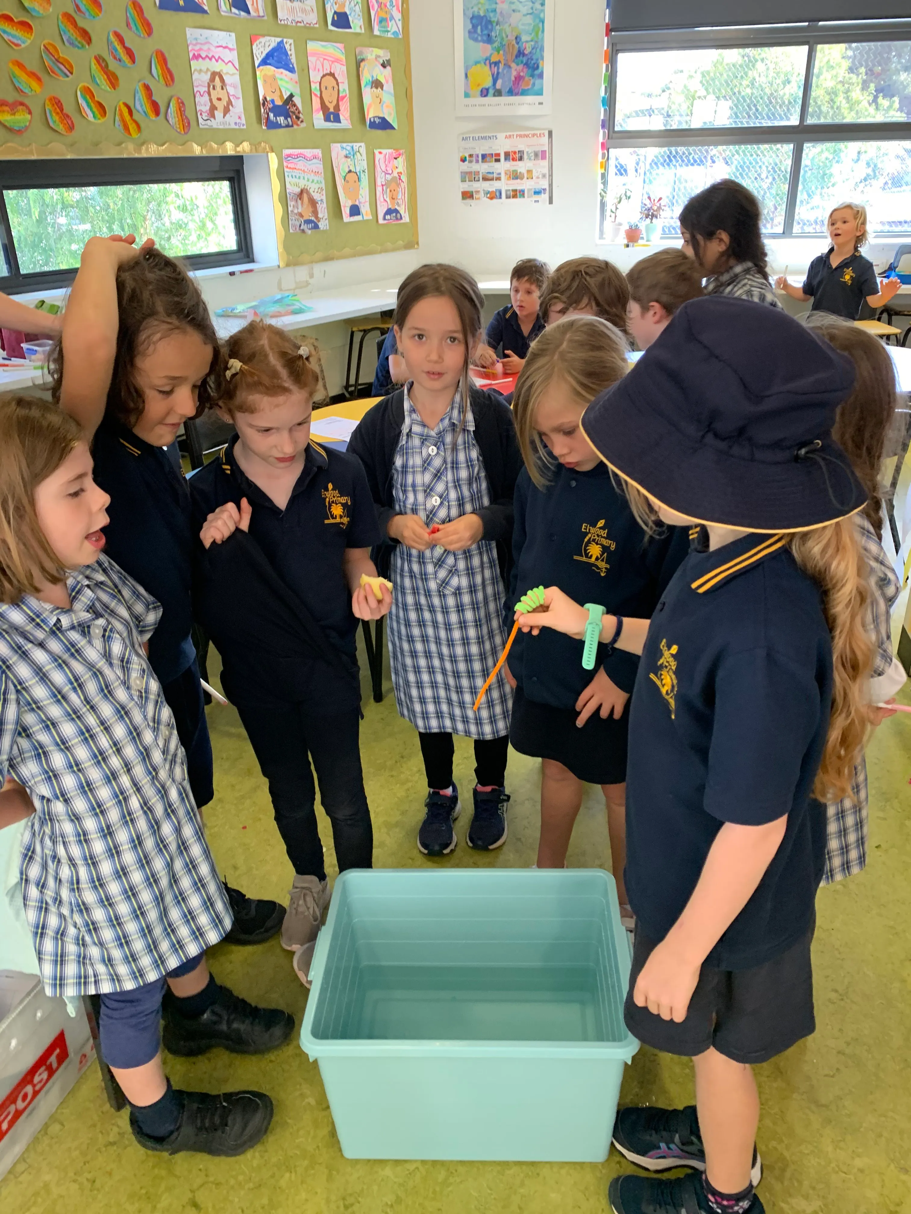 children gathered around a tub, about to perform an experiment