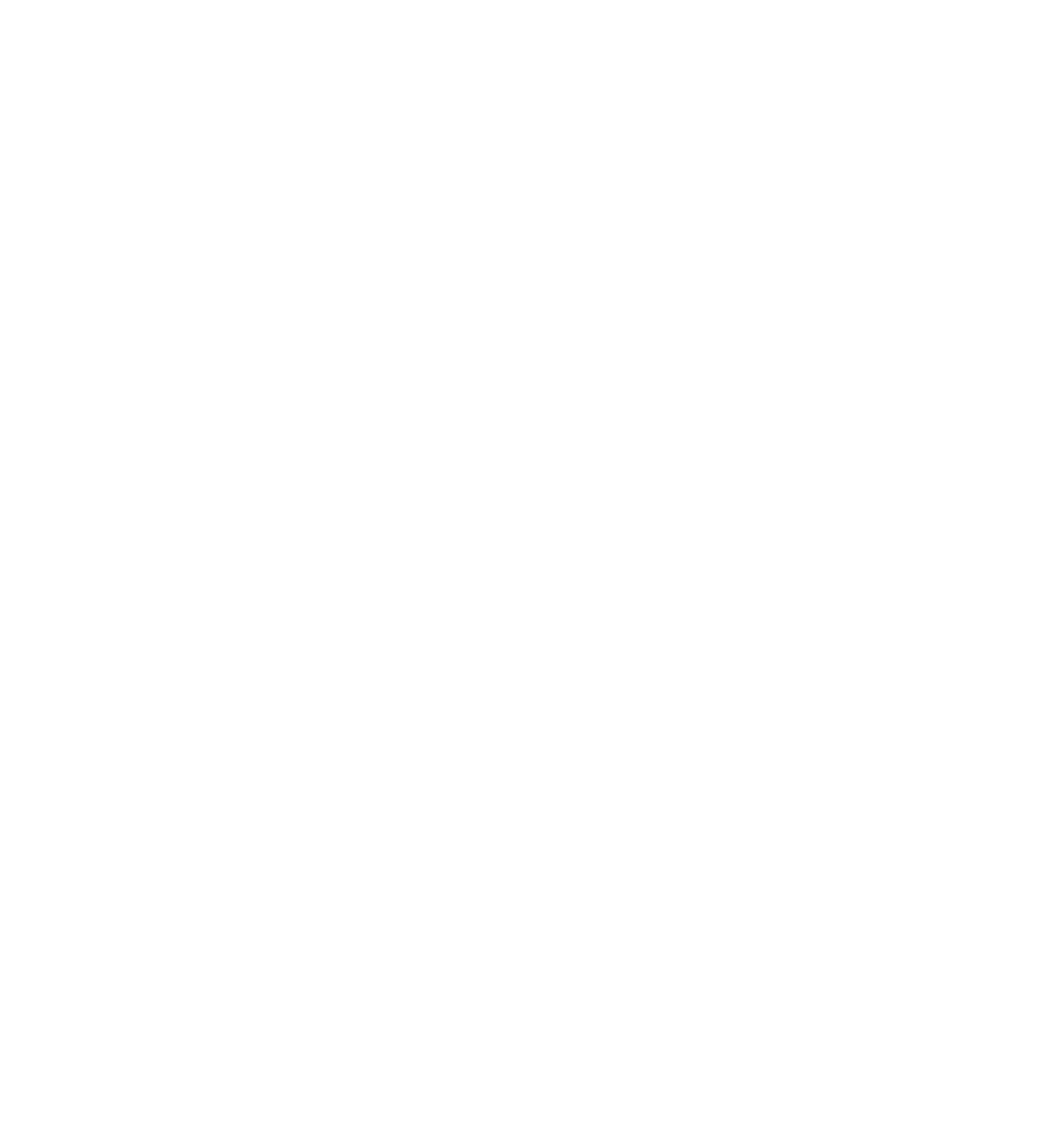 fizz kids logo in white